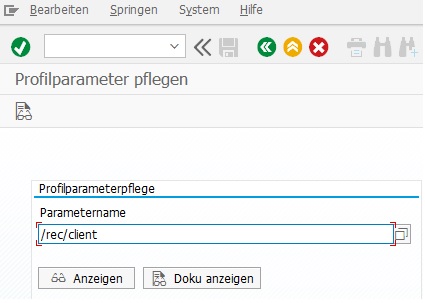 Profilparameter rec/client in RZ11 anzeigen lassen. Dieser Parameter muss für eine Protokollierung in SAP ERP gesetzt sein.