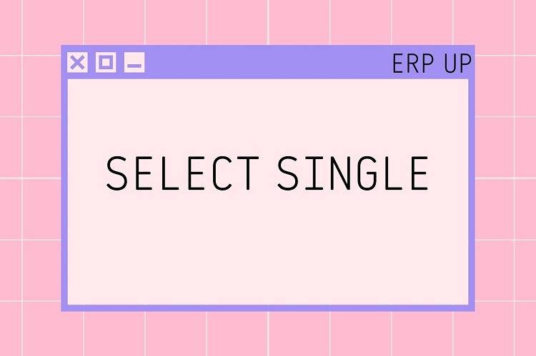 SELECT SINGLE In ABAP ABAP