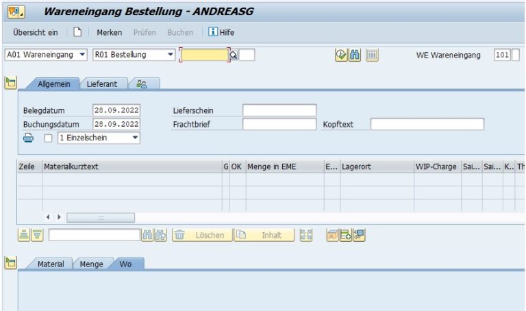 MIGO In SAP ERP Erklärt - Anwendungen