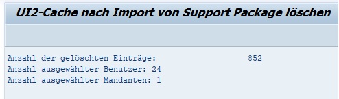 UI2-Cache nach Import von Support Package löschen