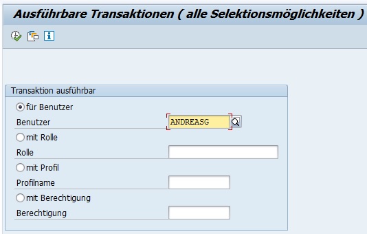 Ausführbare Transaktionen eines SAP-Benutzers