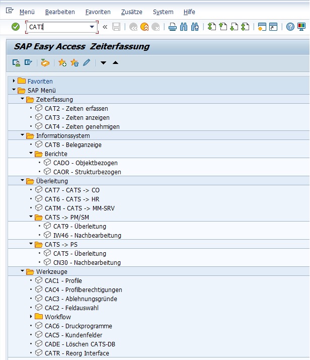 Bereichsmenü CATI: Zeiterfassung in SAP