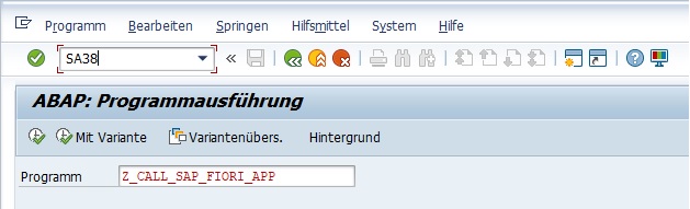 Transaktion SA38 - Programmausführung